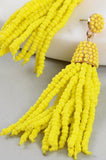 Seed Bead Tassel Dangling Earrings