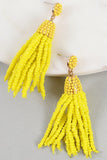 Seed Bead Tassel Dangling Earrings