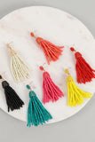 Seed Bead Tassel Dangling Earrings