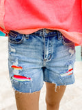 Rainbow Bright Shorts